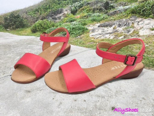 Hotter, Tropic, Sunset Coral