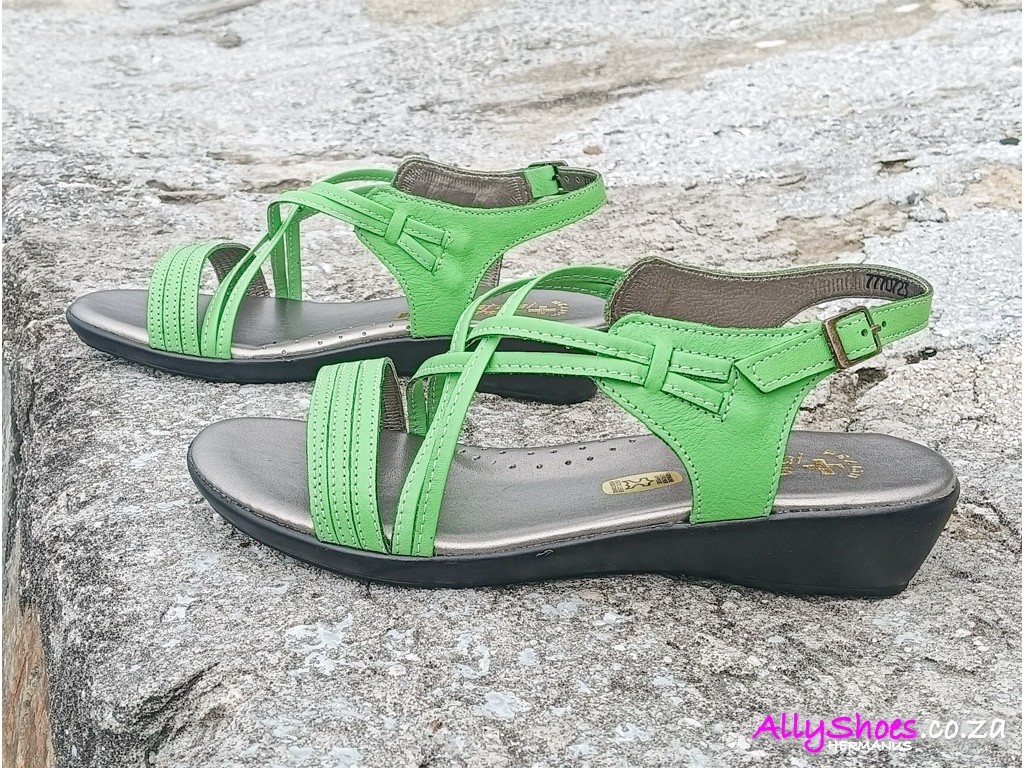 Natural Steps, 413, Lime