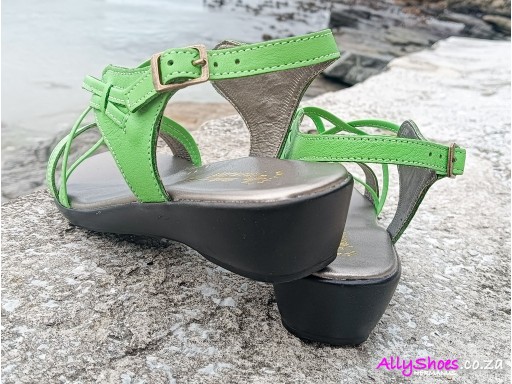 Natural Steps, 413, Lime