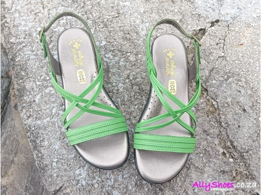 Natural Steps, 413, Lime