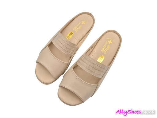 Natural Steps, 807, Ice