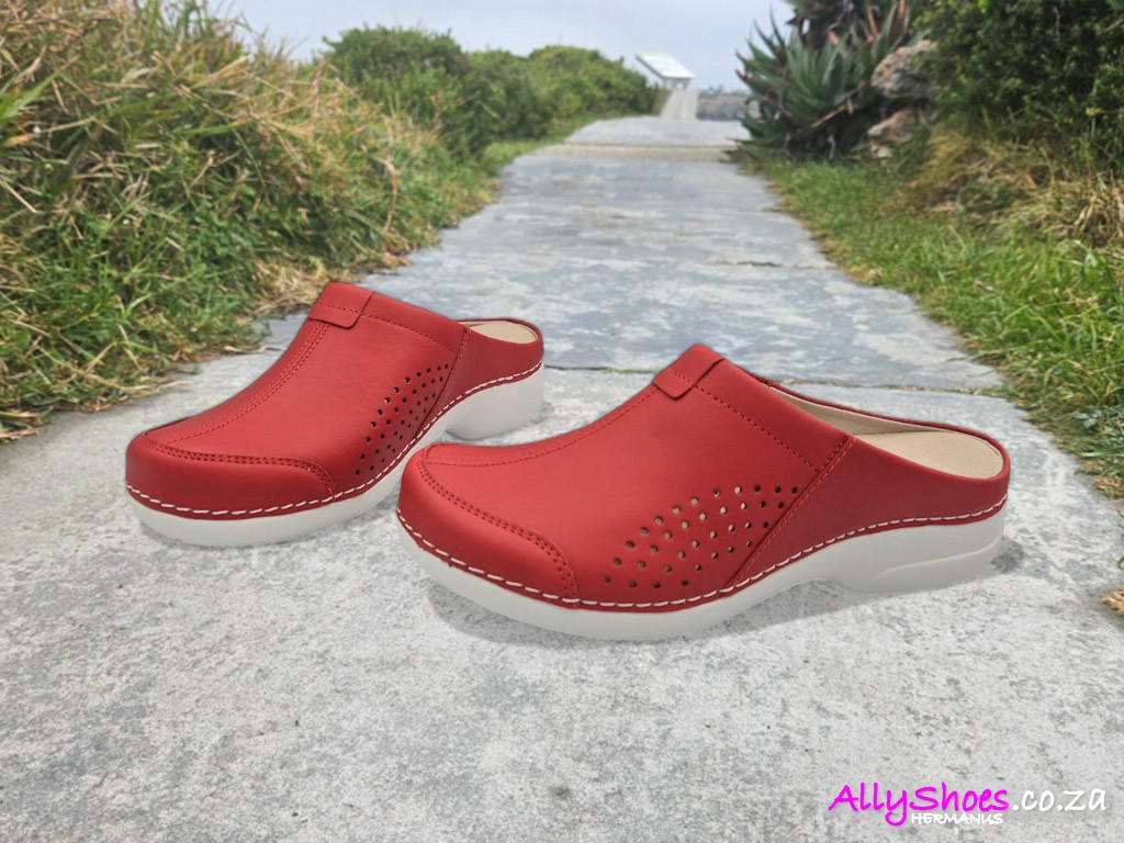 Nursing Care, Montenegro, Red